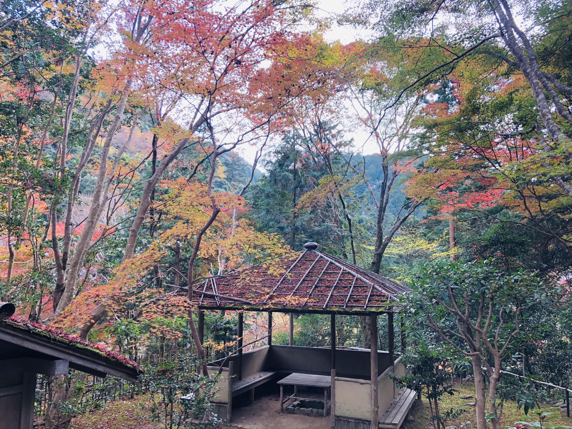 京都自助遊攻略