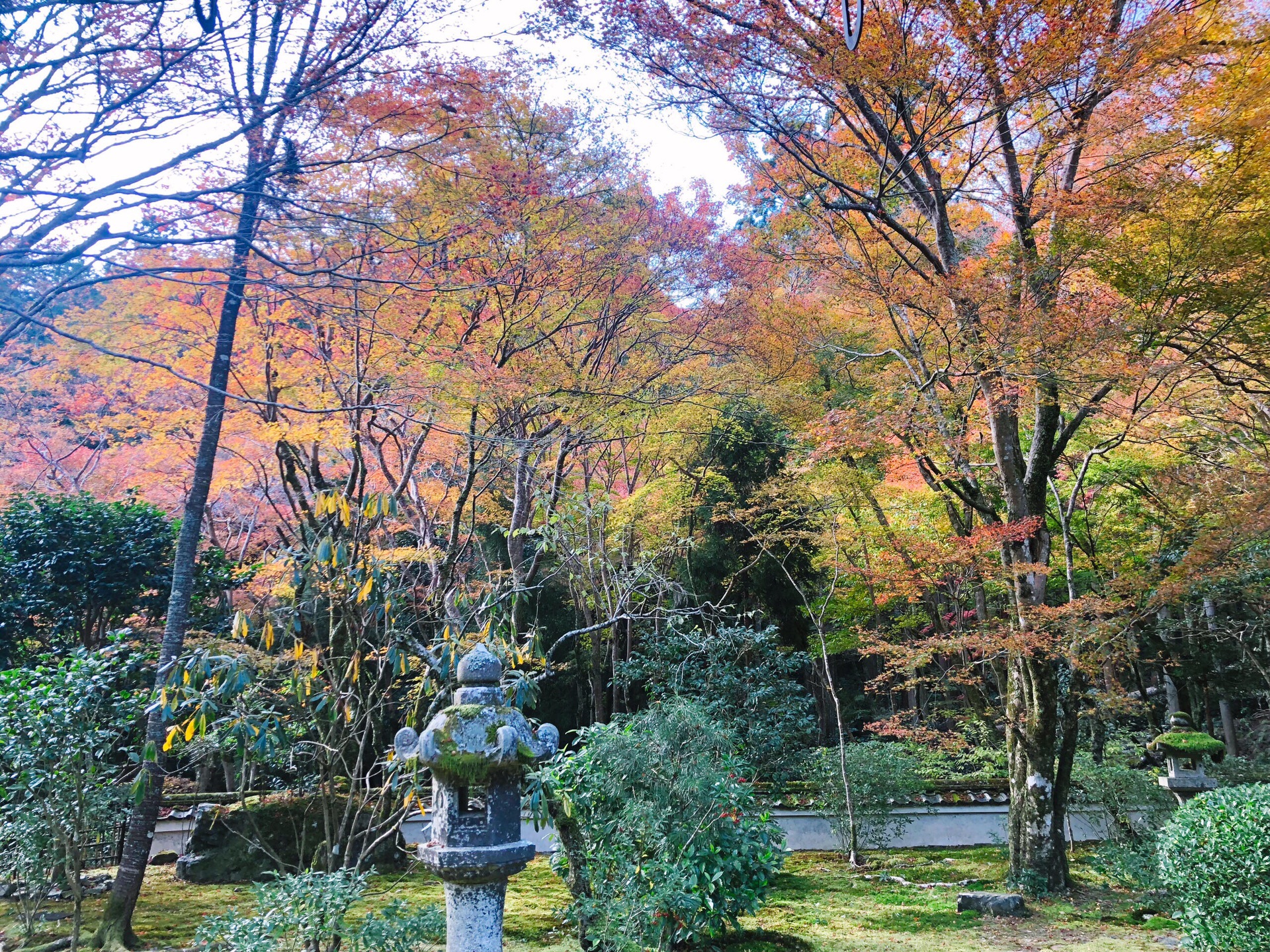 京都自助遊攻略