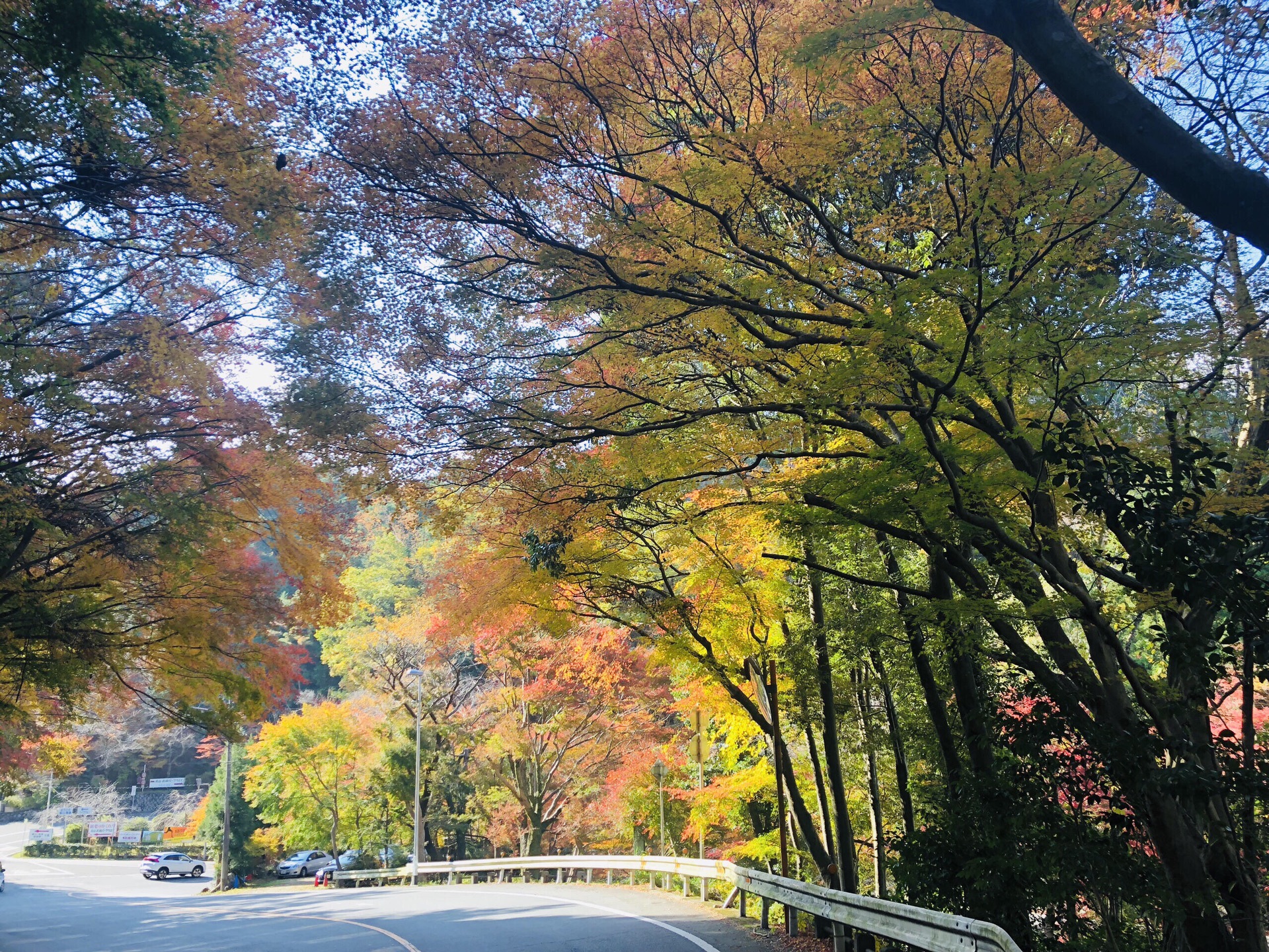 京都自助遊攻略