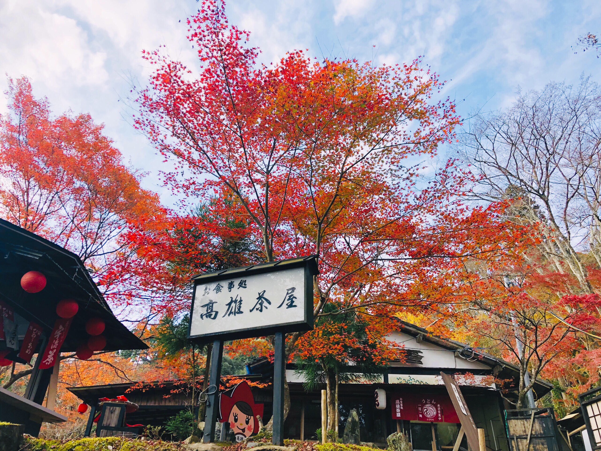 京都自助遊攻略