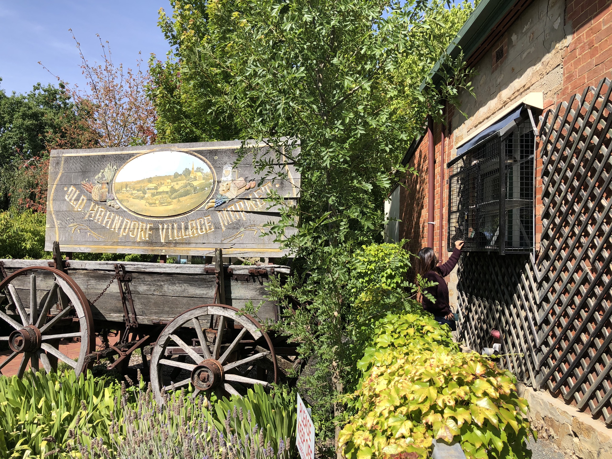 芭萝莎美食-Lyndoch Bakery and Restaurant