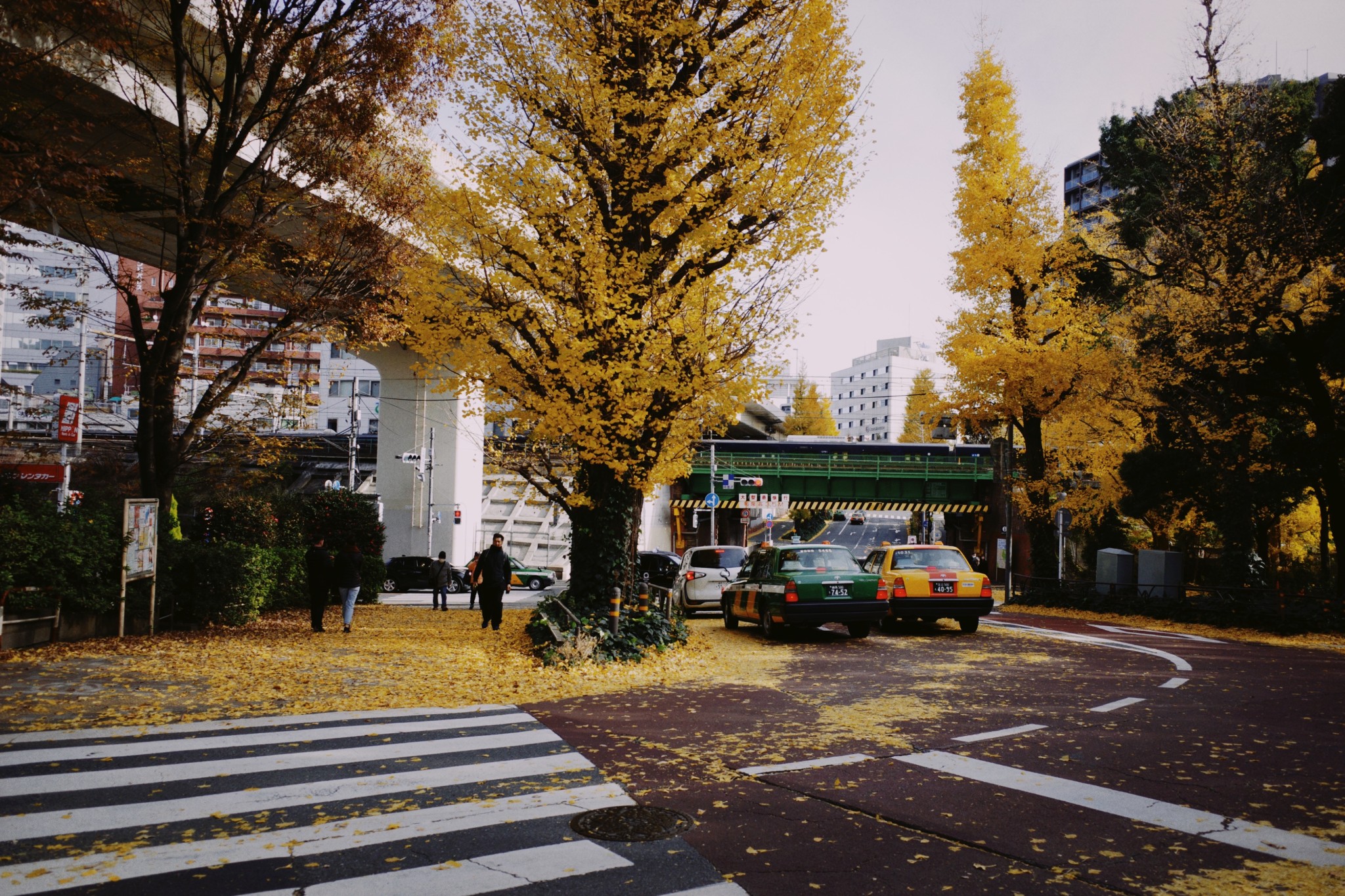 東京自助遊攻略