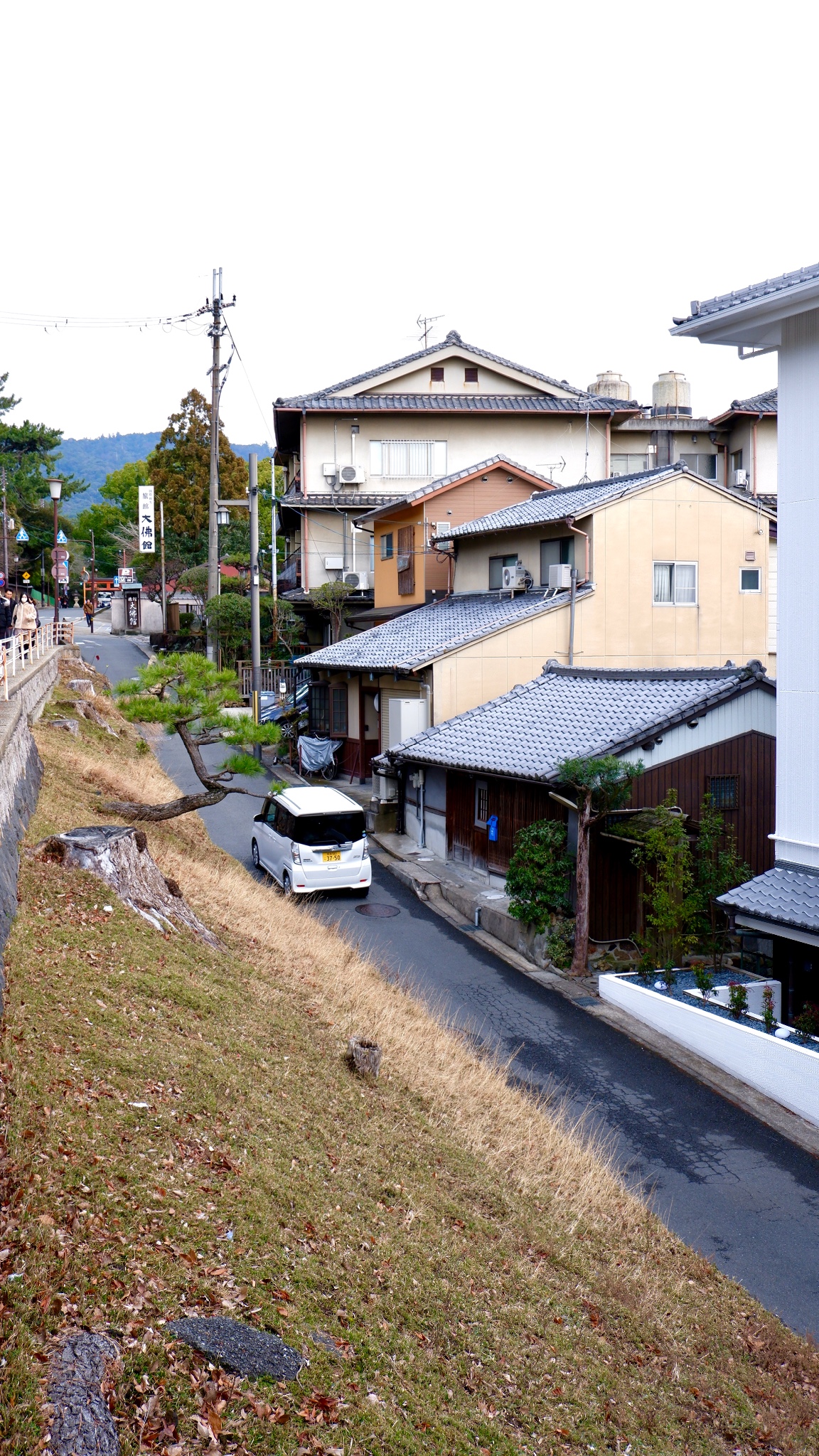 京都自助遊攻略