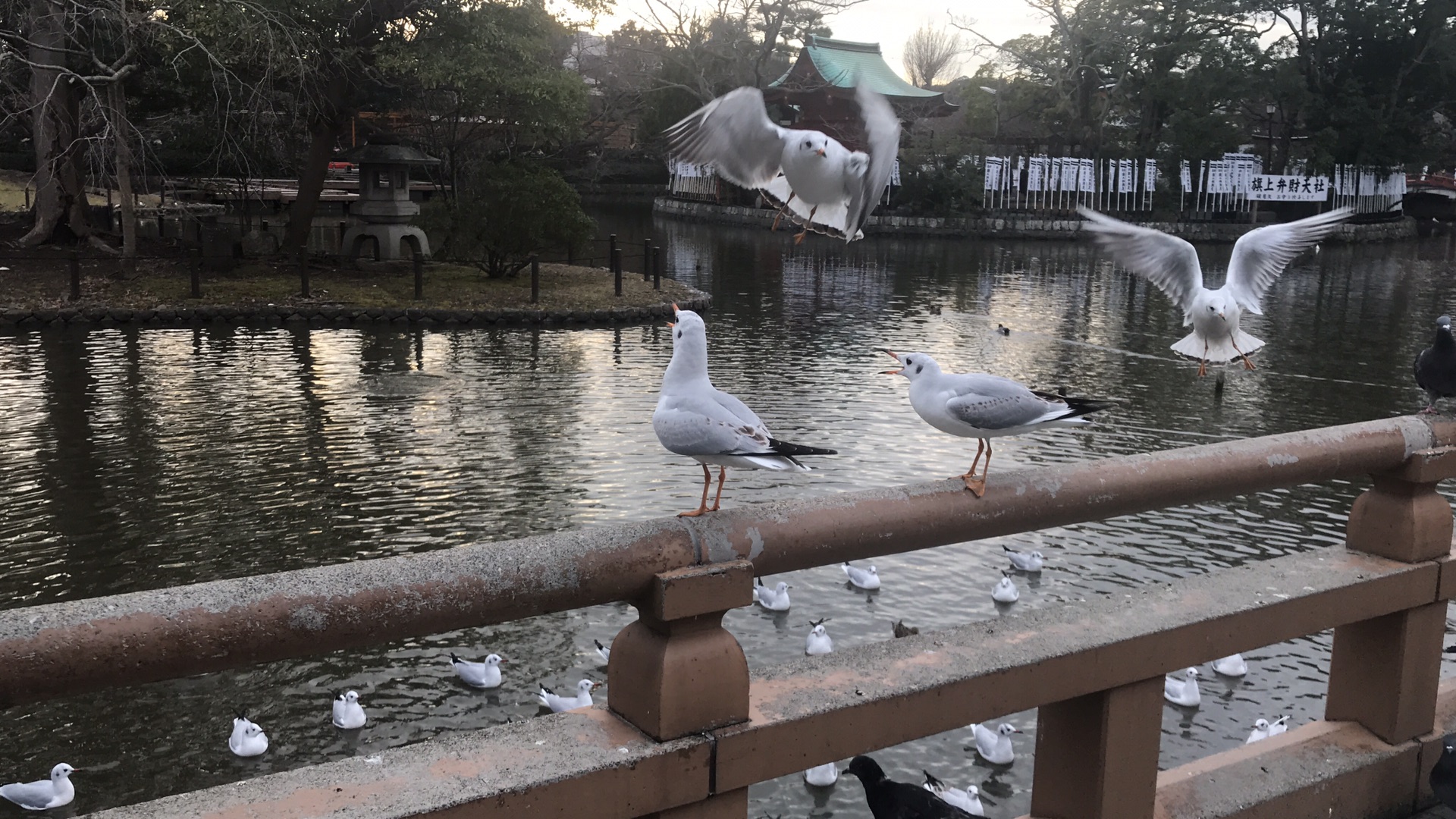 橫濱自助遊攻略