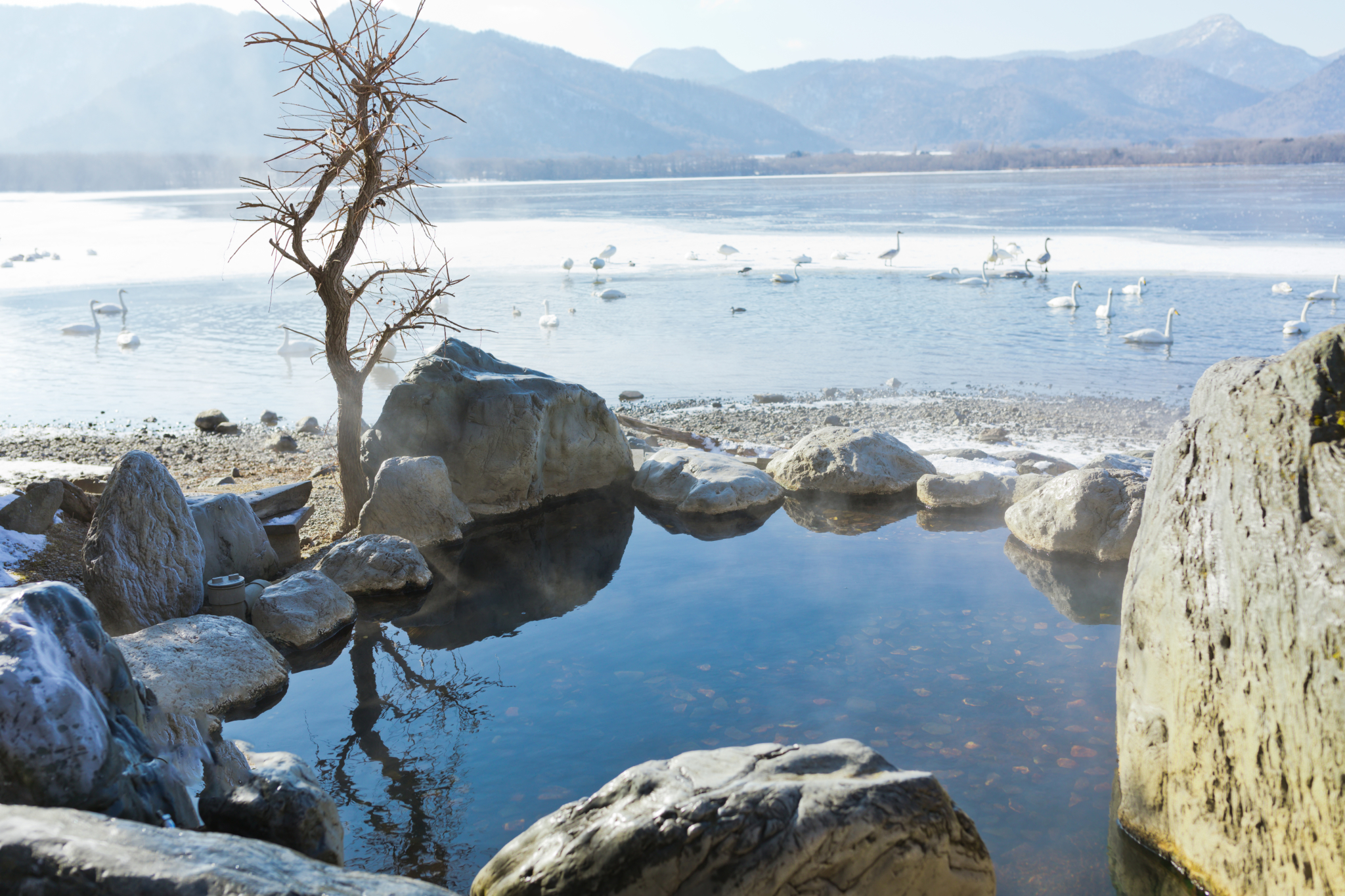 北海道自助遊攻略