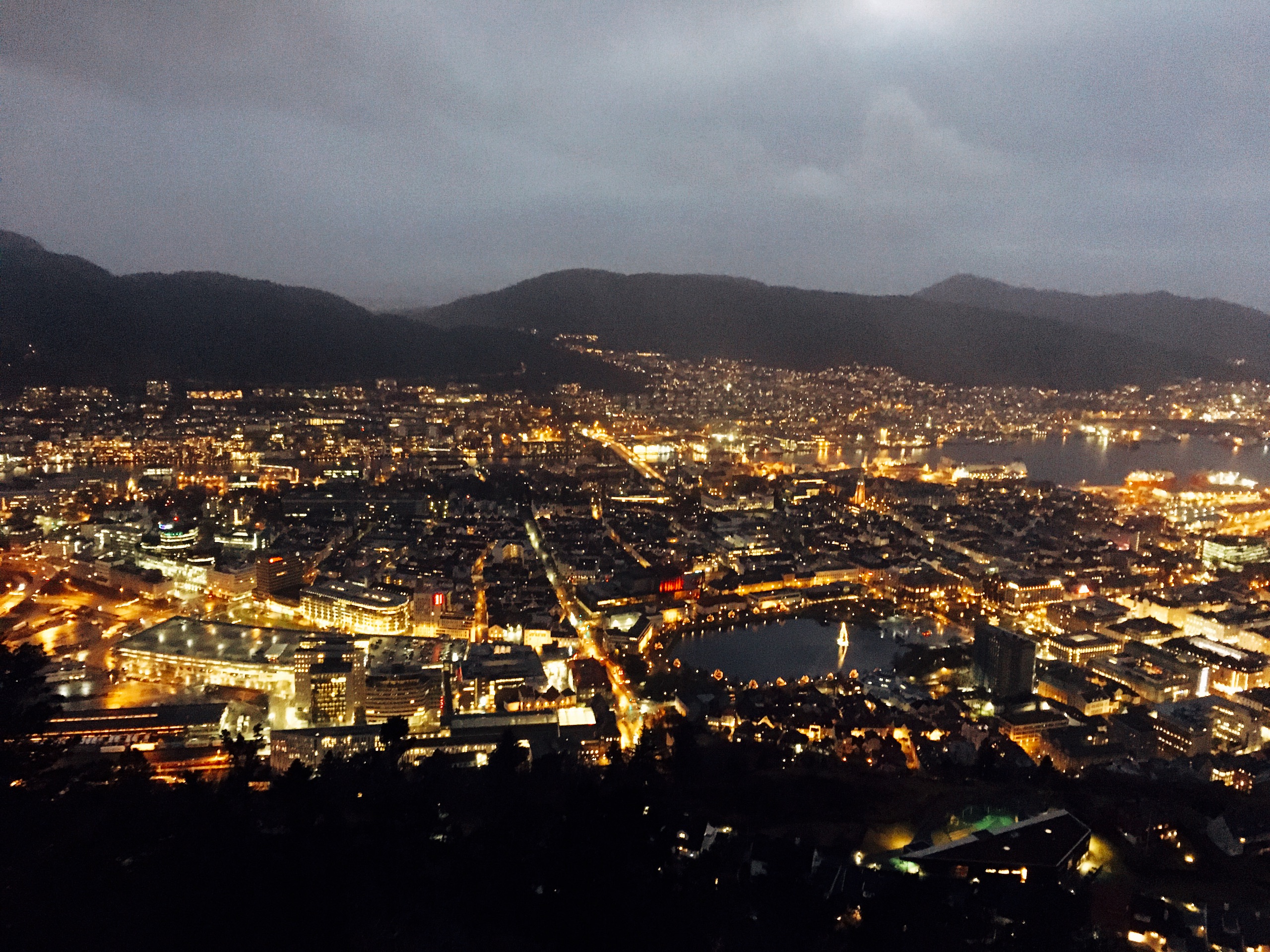 霍达兰美食-Fløien Folkerestaurant