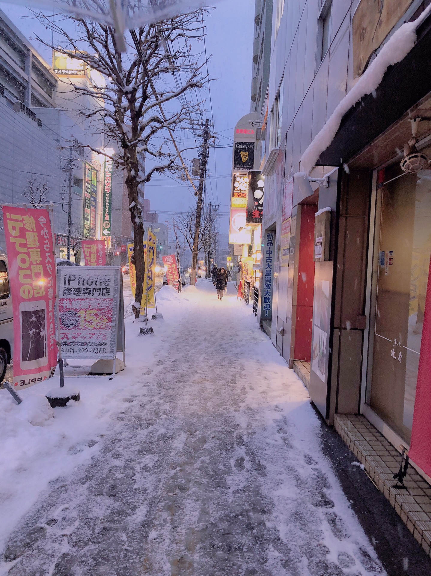 北海道自助遊攻略