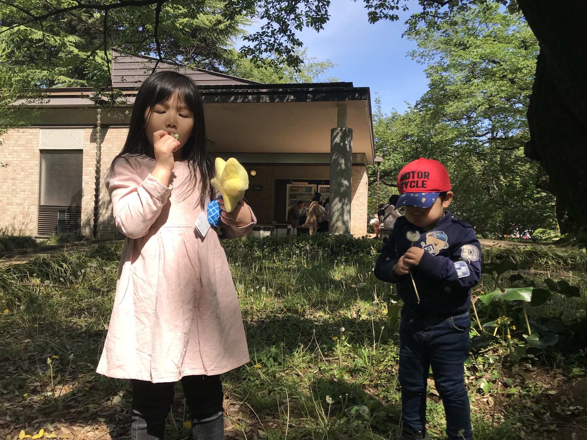 東京自助遊攻略