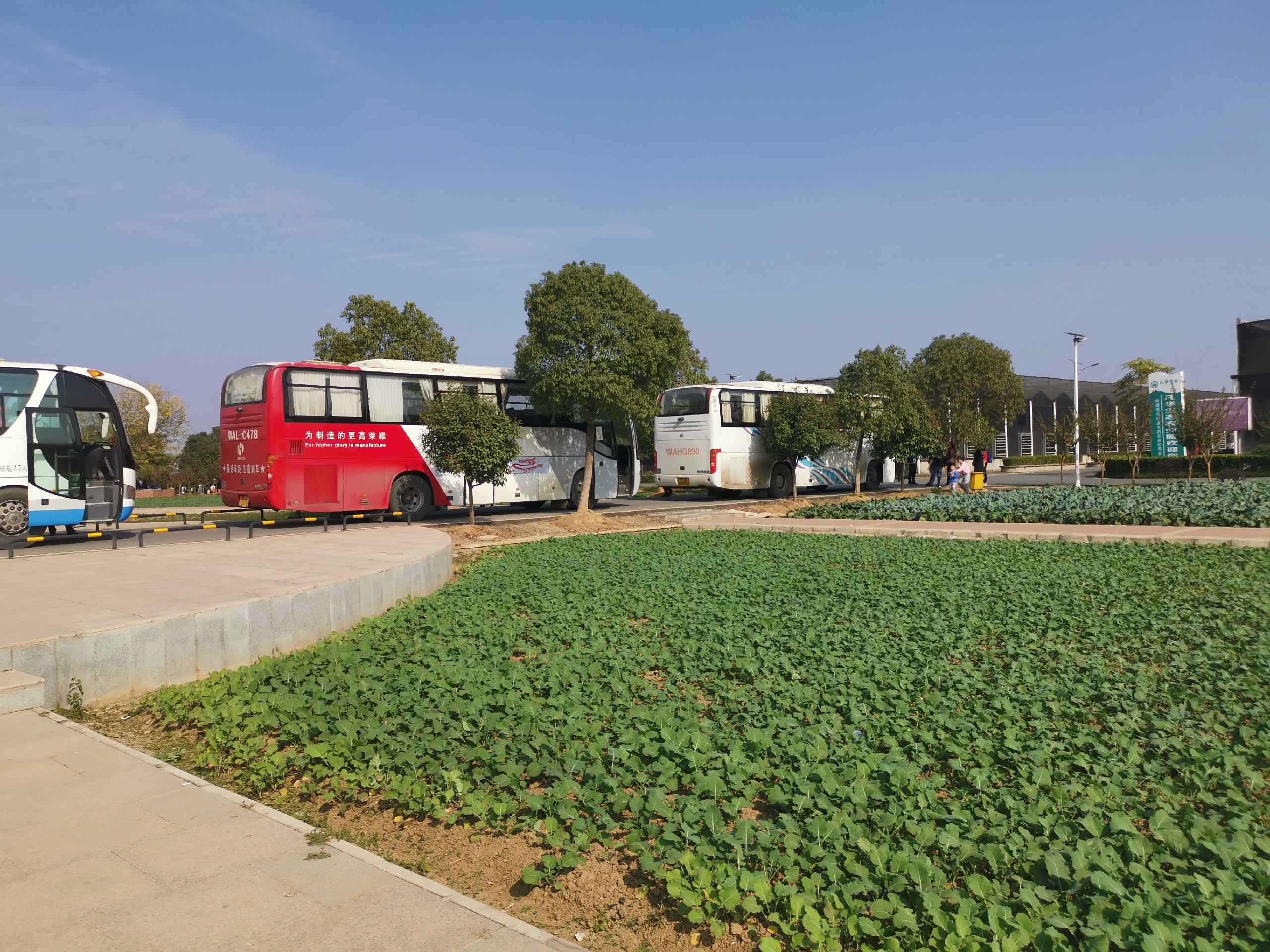 共10张照片 蜂蜂点评(0条) 地址 湖北省武汉市江夏区郑店街劳七村