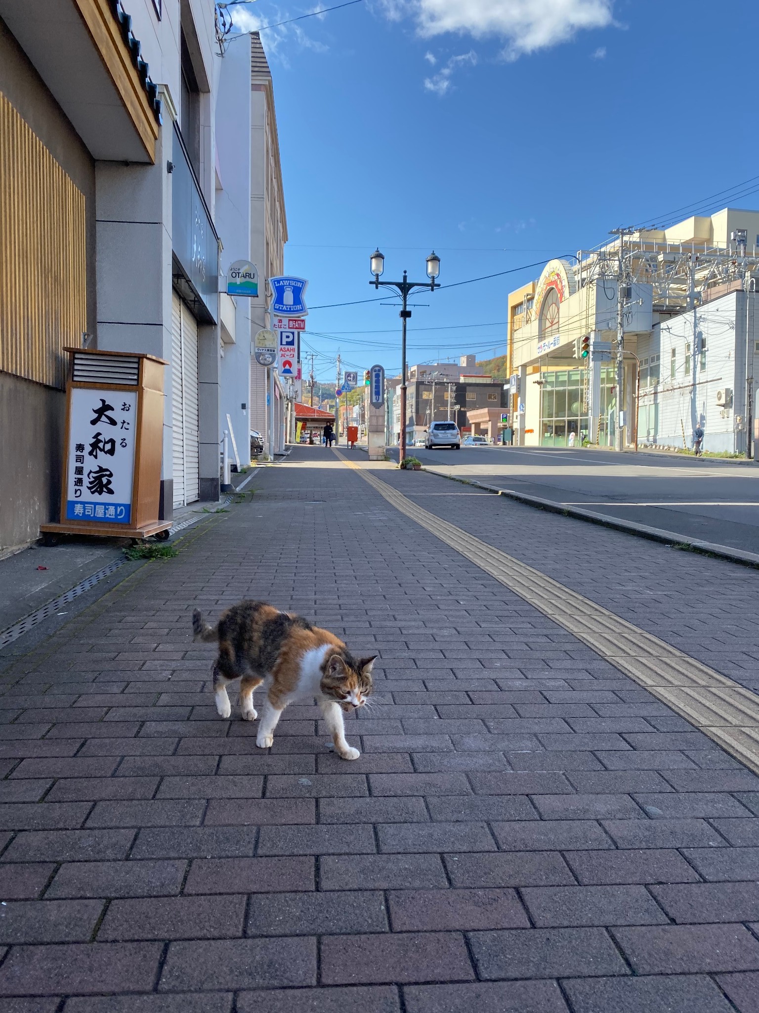 北海道自助遊攻略