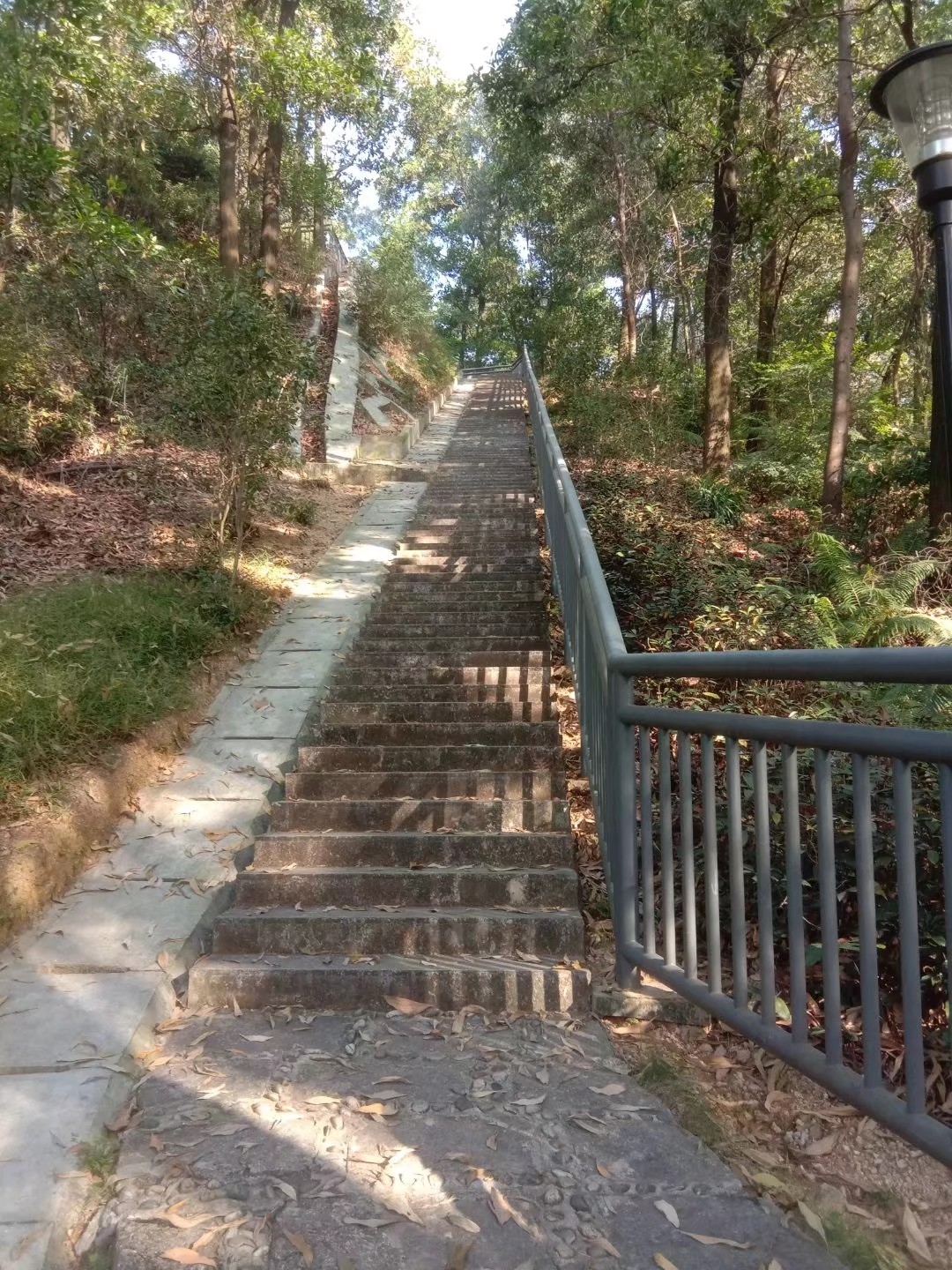 光明新城公园深圳