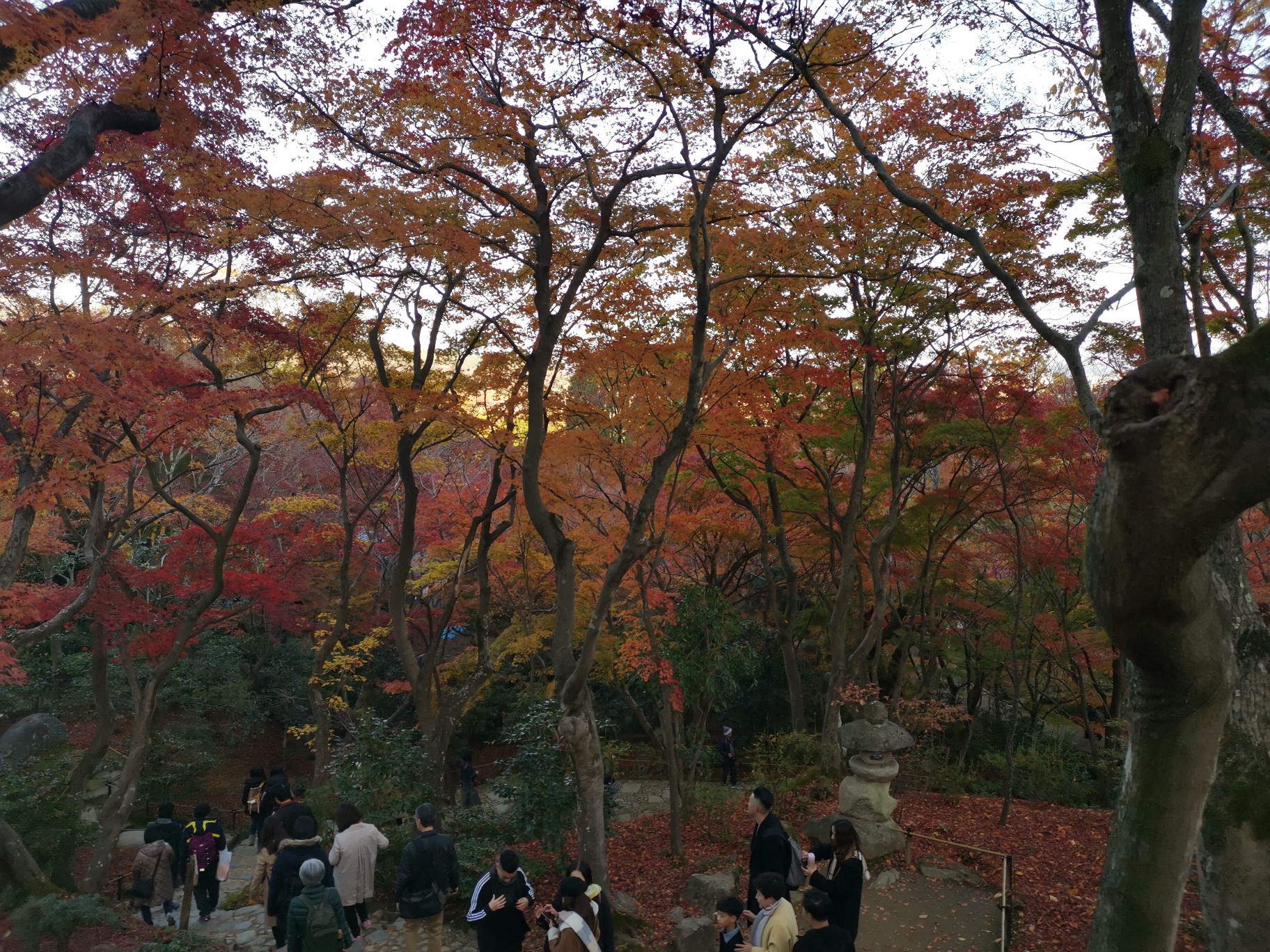 京都自助遊攻略