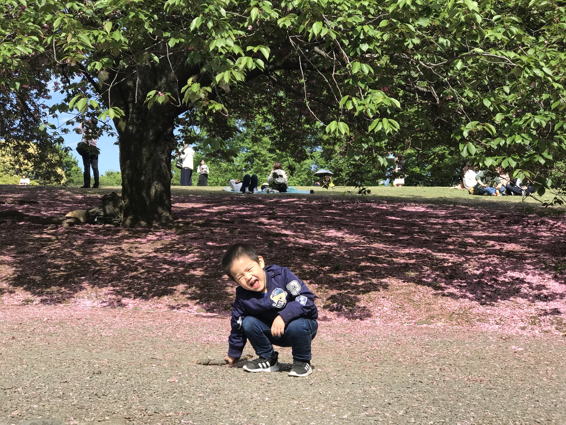 東京自助遊攻略