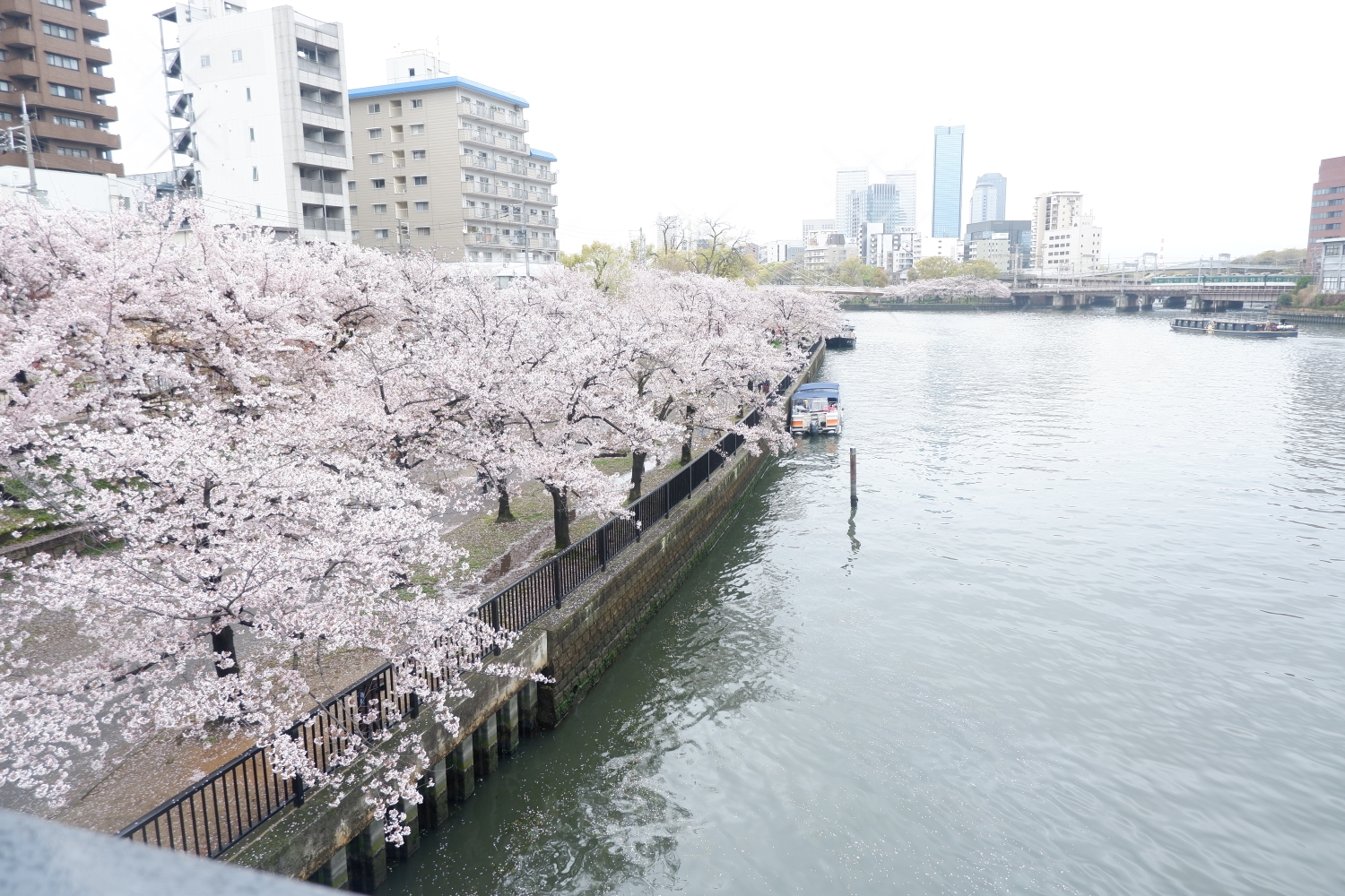 大阪自助遊攻略