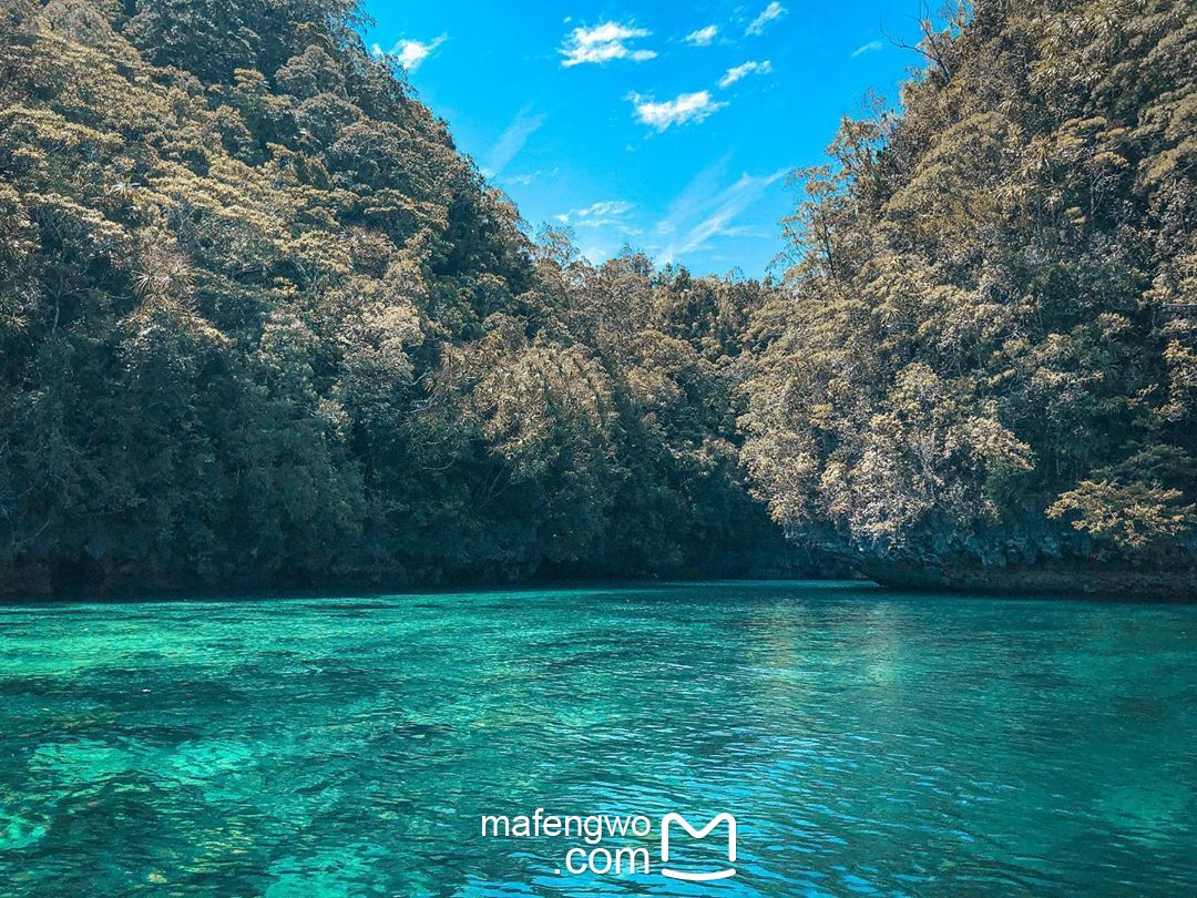 苏里高旅游图片