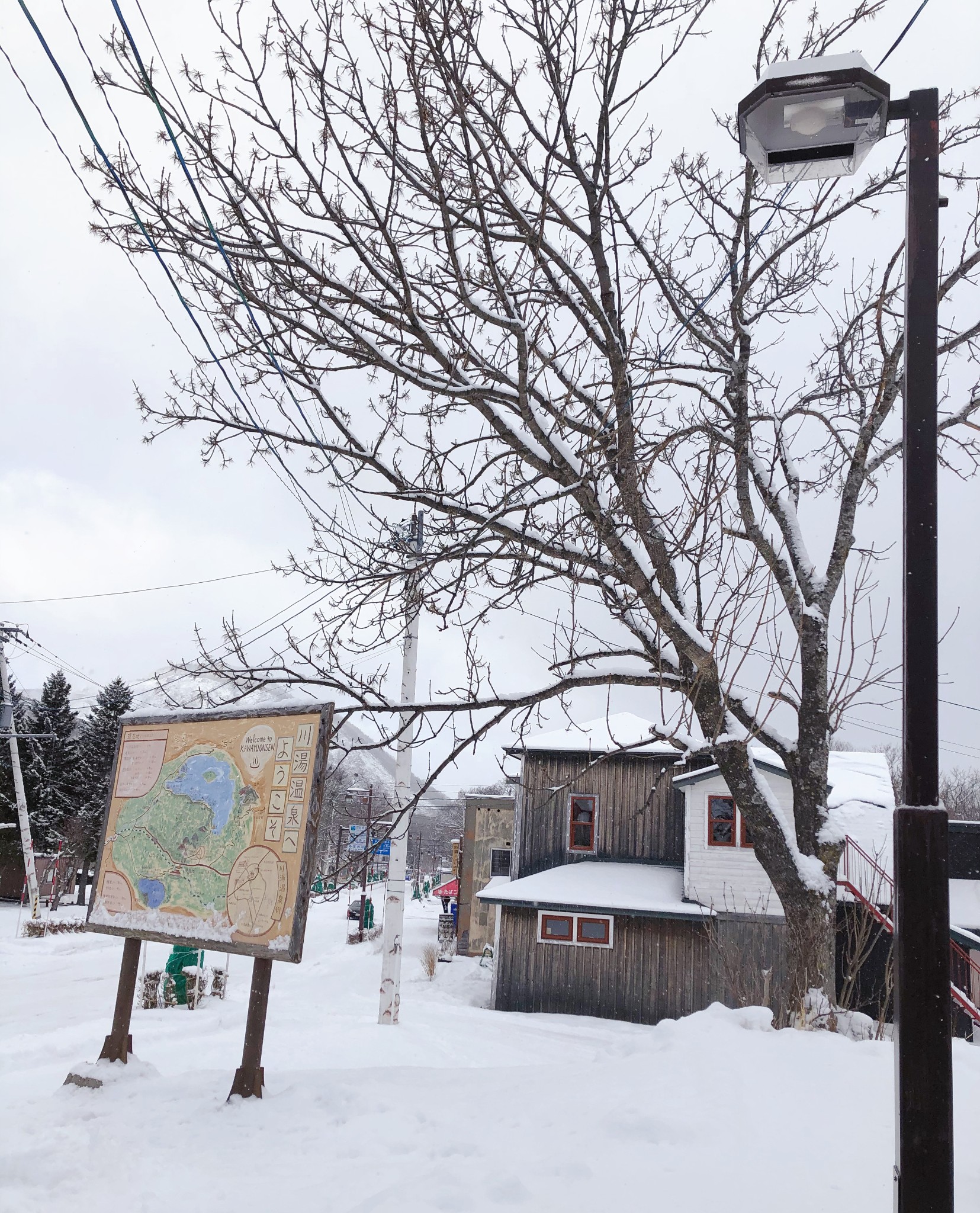 北海道自助遊攻略