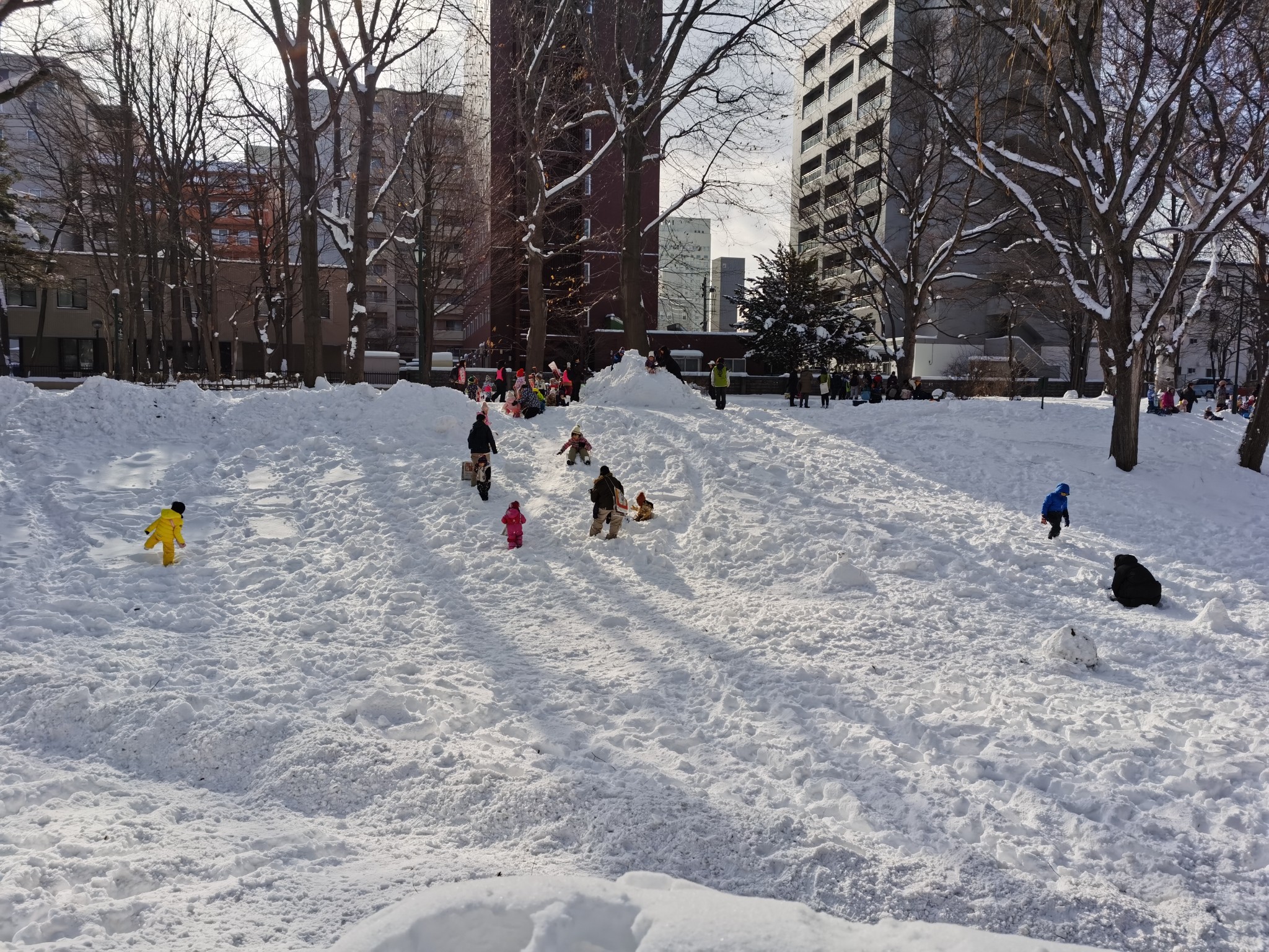 札幌自助遊攻略