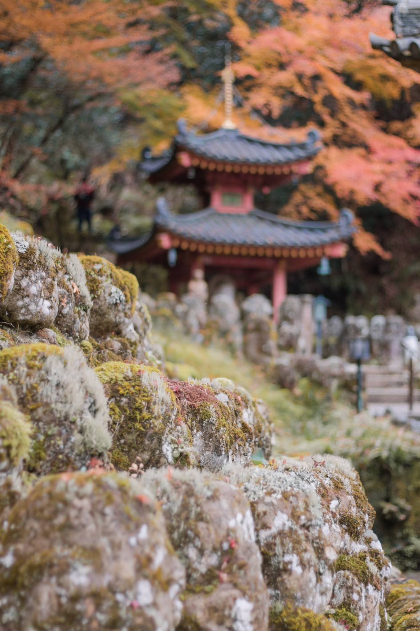 京都自助遊攻略