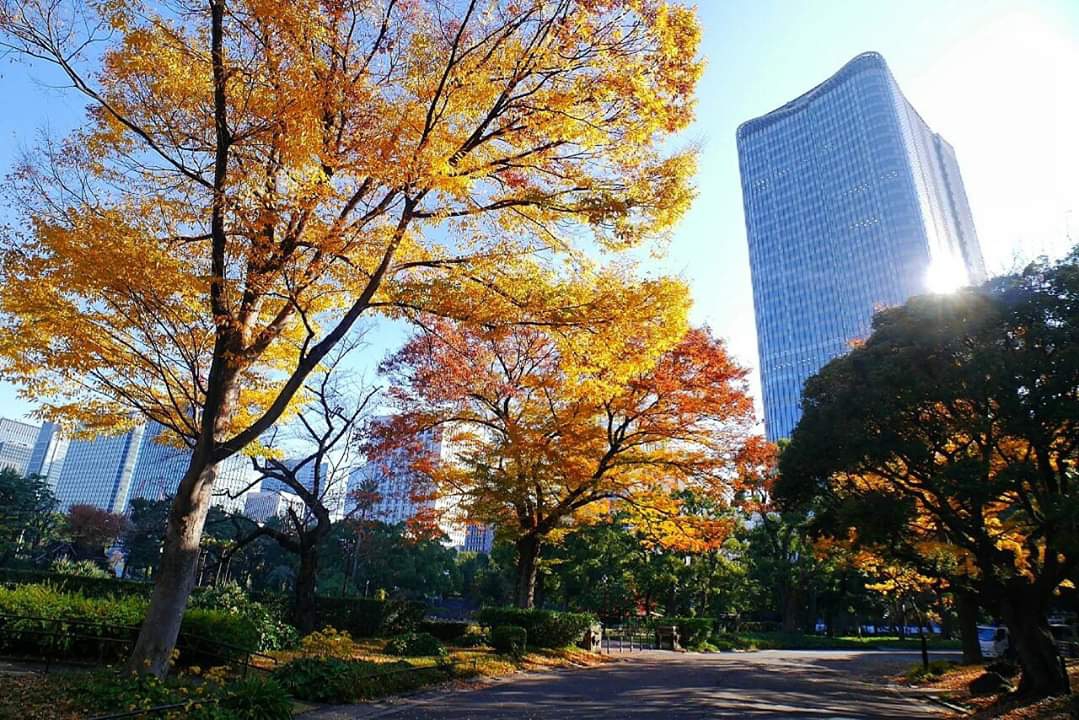 東京自助遊攻略