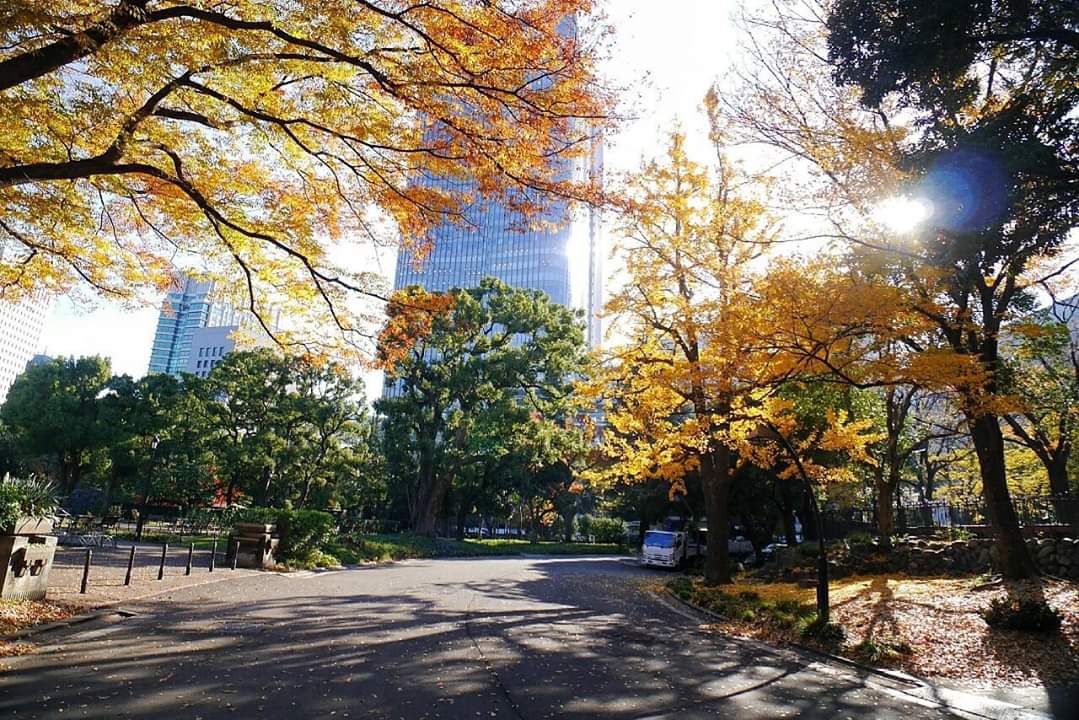 東京自助遊攻略