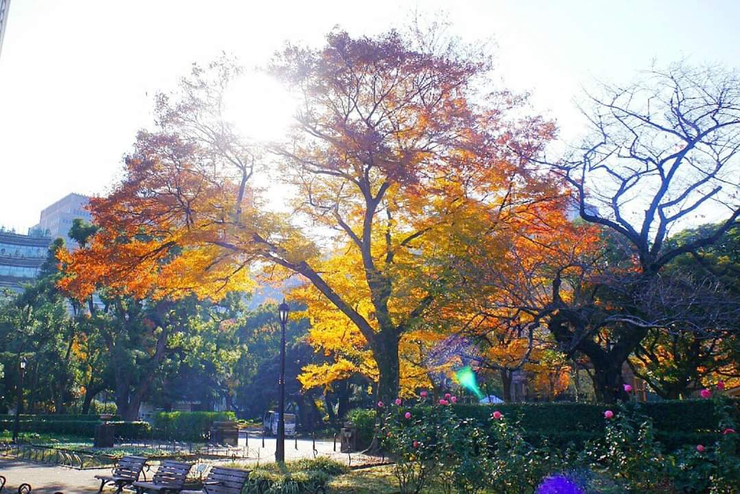 東京自助遊攻略