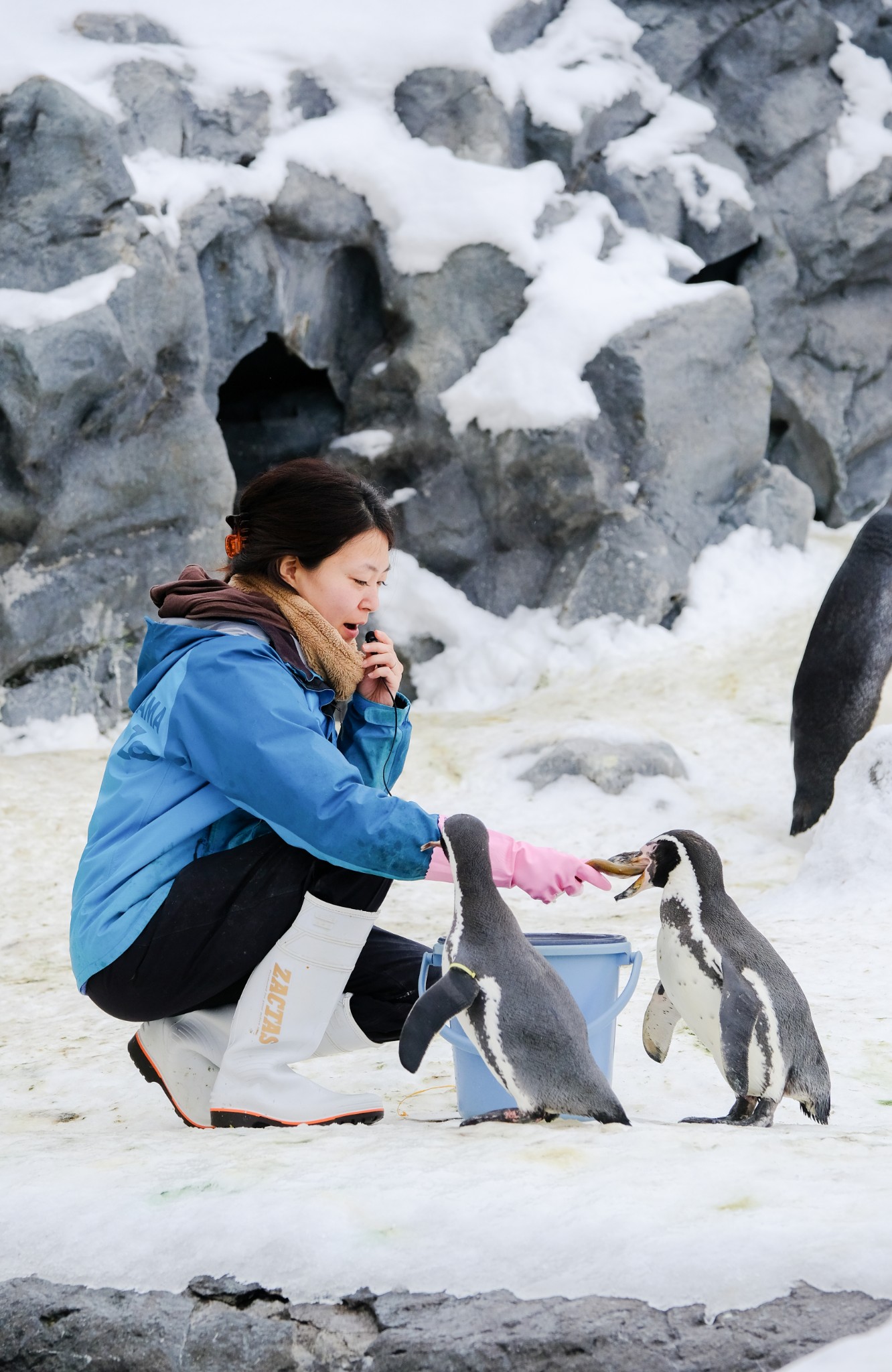 北海道自助遊攻略