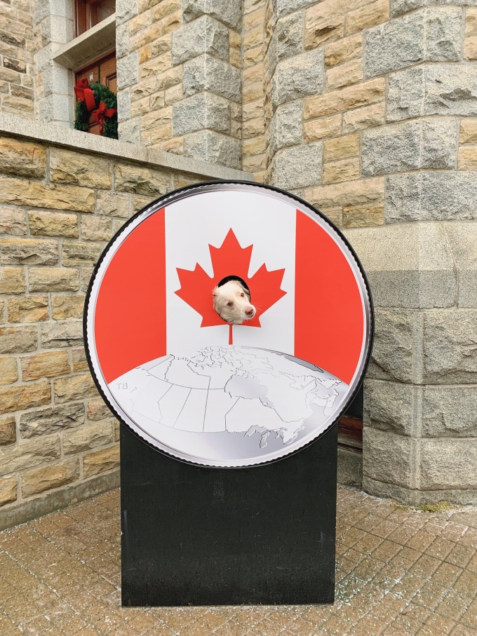 加拿大自助遊攻略