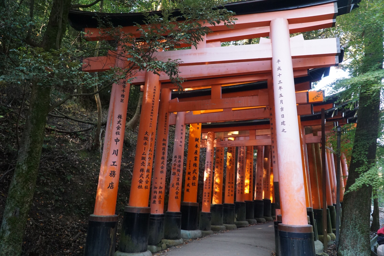 東京自助遊攻略