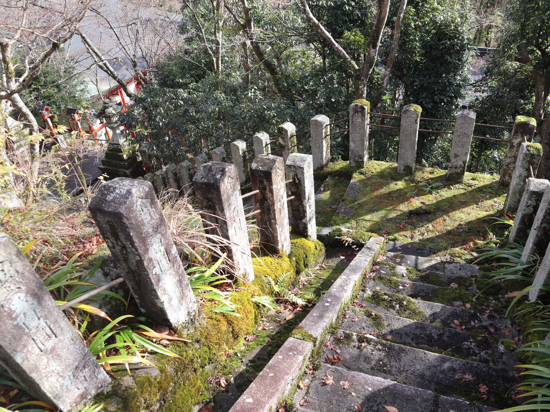 京都自助遊攻略