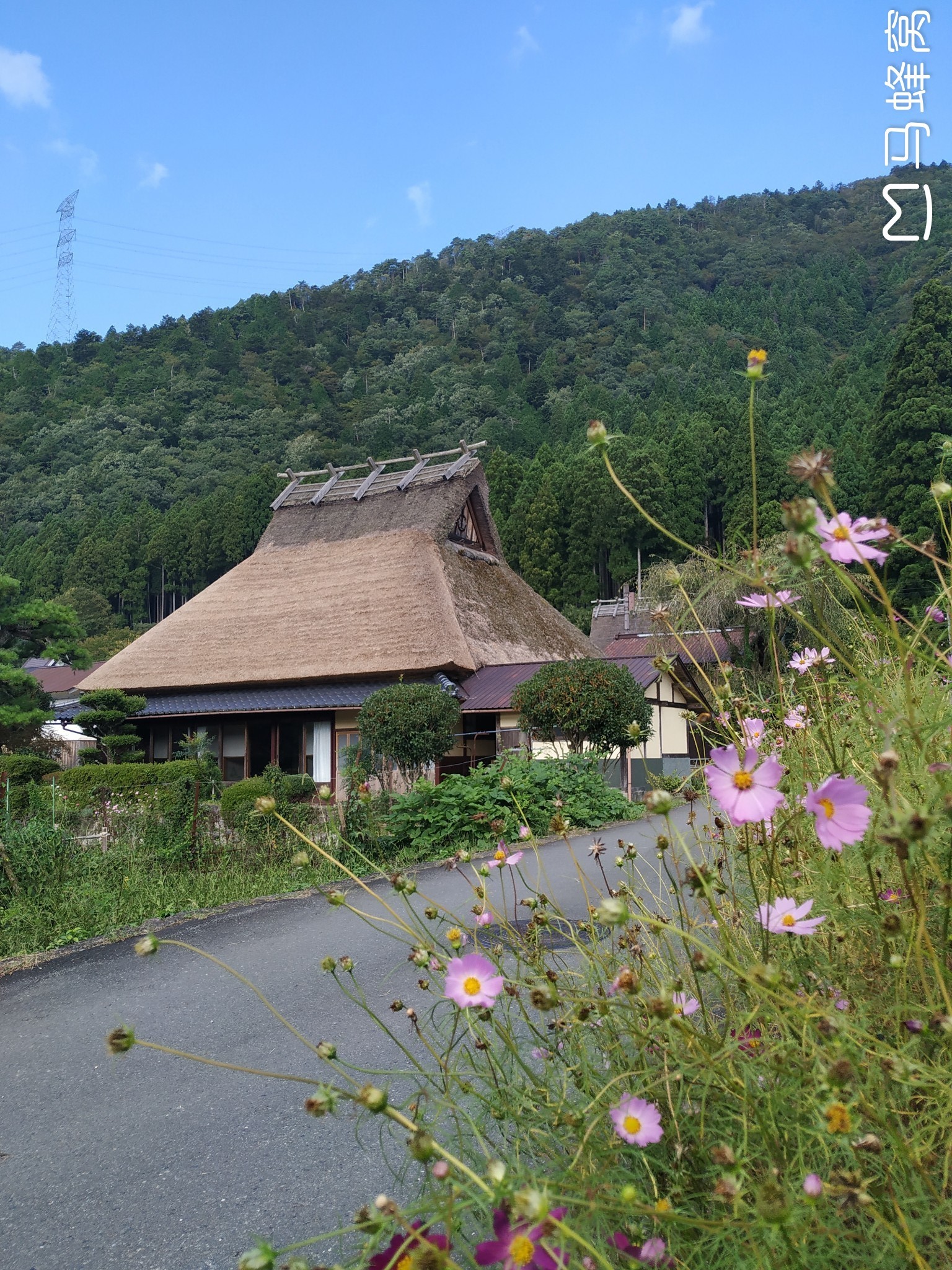 京都自助遊攻略