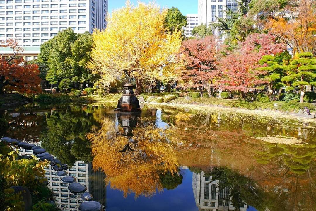 東京自助遊攻略