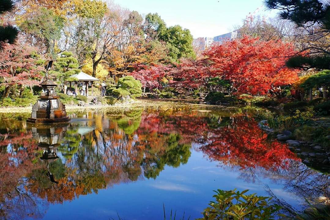 東京自助遊攻略