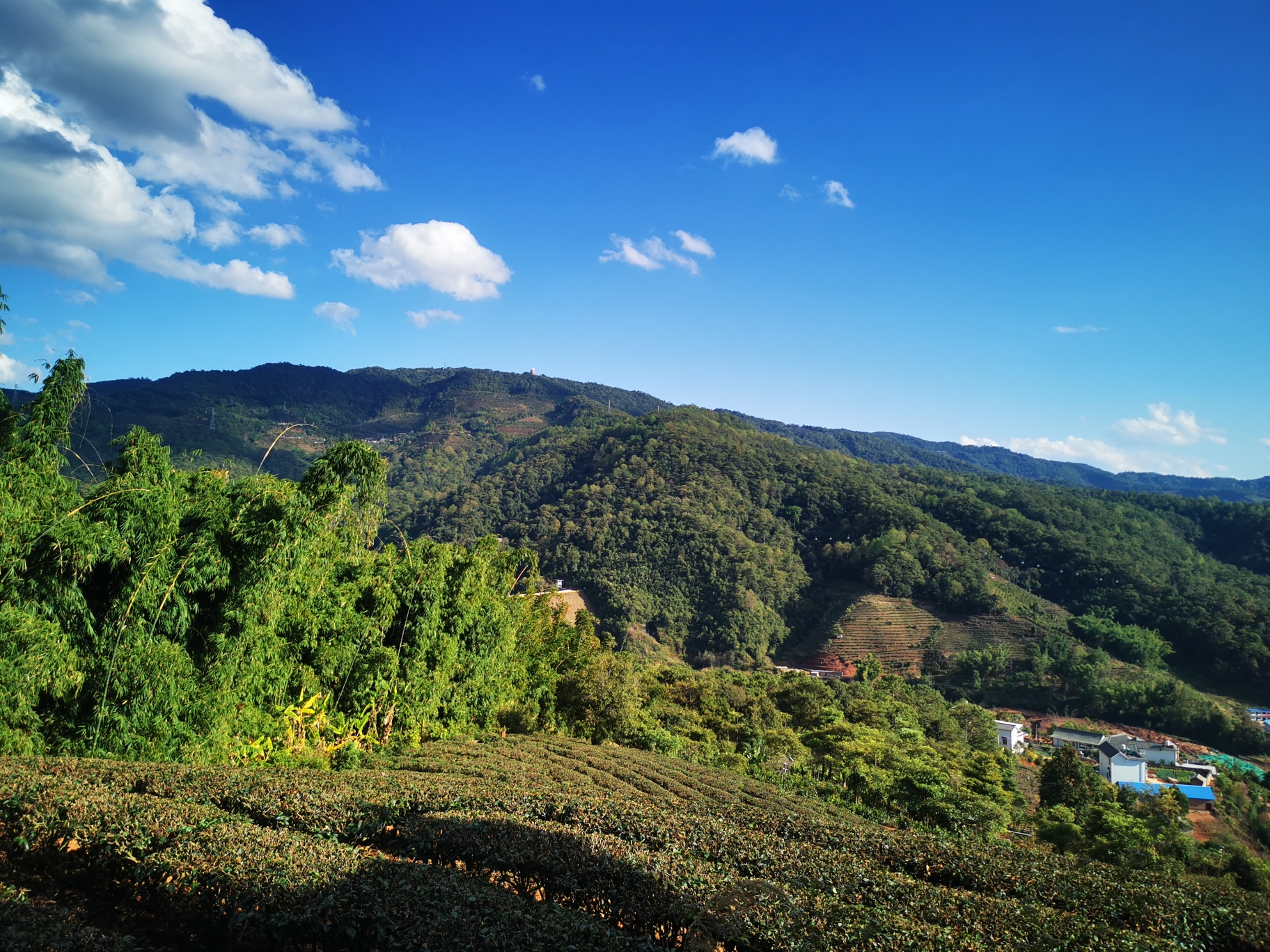 普洱之茶马古道d14,普洱旅游攻略 马蜂窝