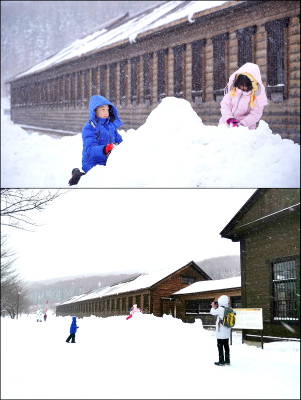 北海道自助遊攻略