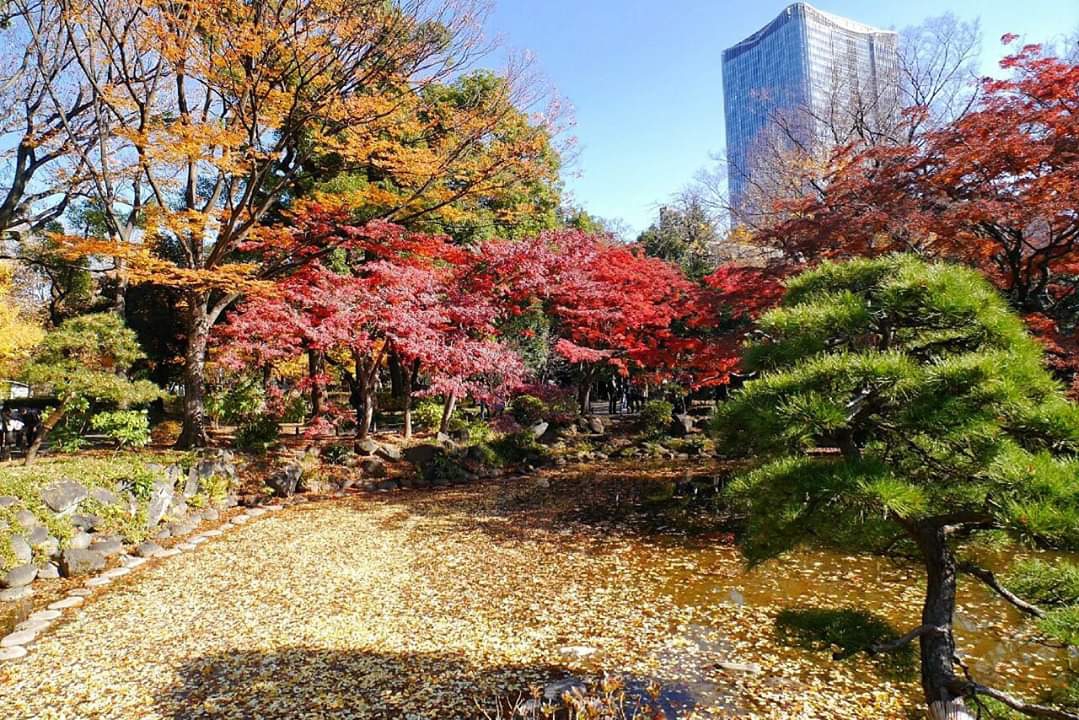 東京自助遊攻略