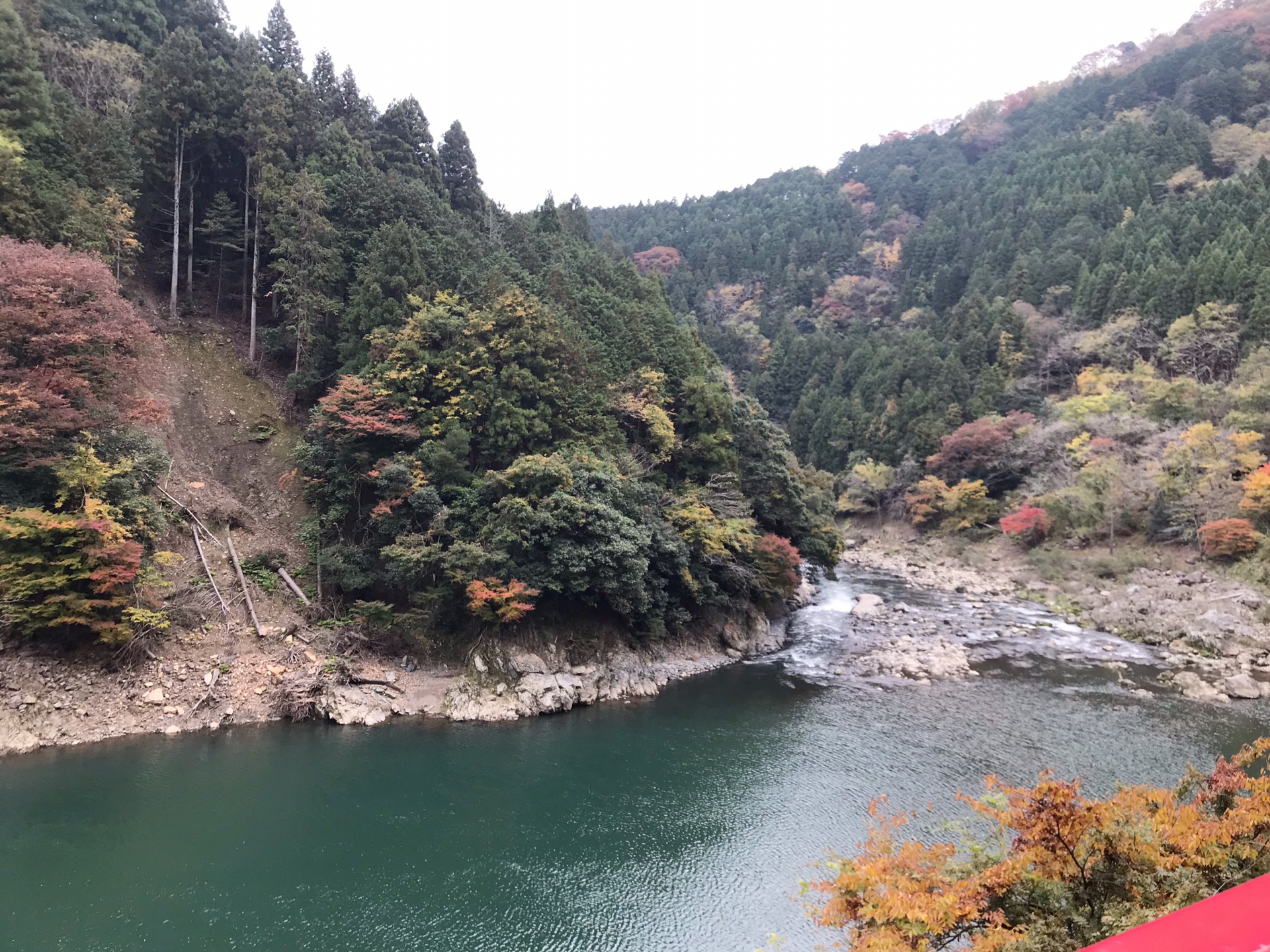 京都自助遊攻略