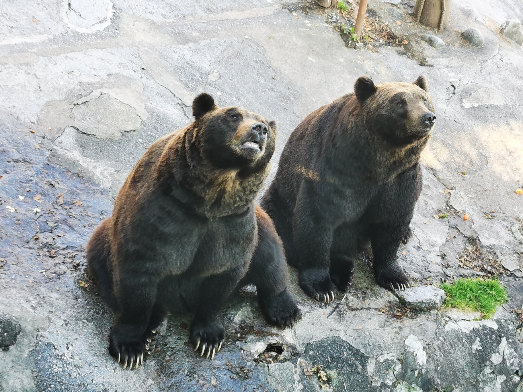 札幌自助遊攻略