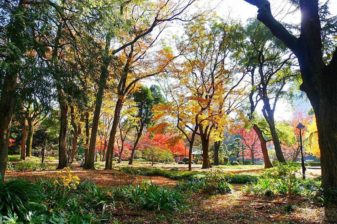 東京自助遊攻略