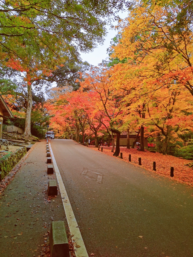 京都自助遊攻略