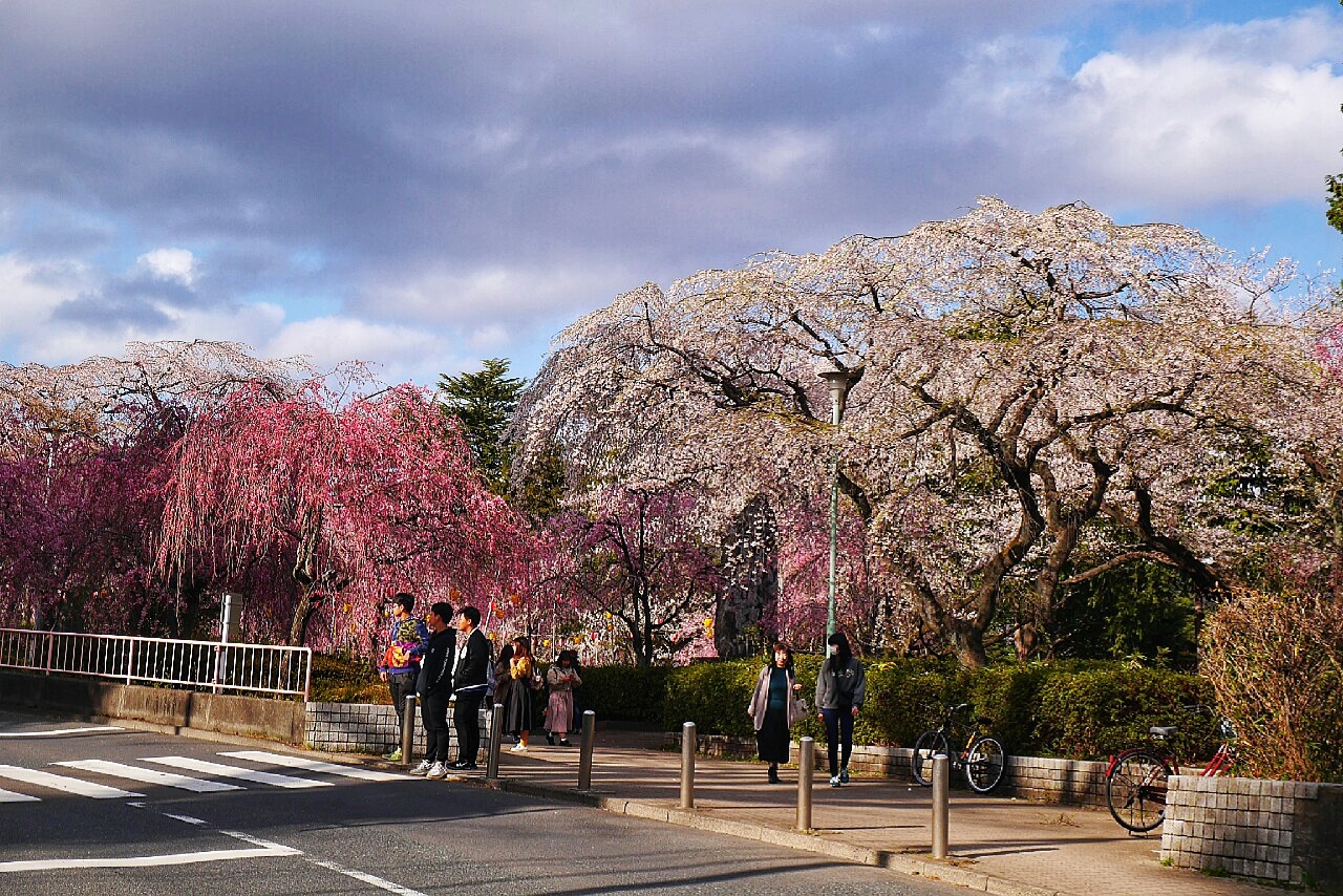 福島市自助遊攻略