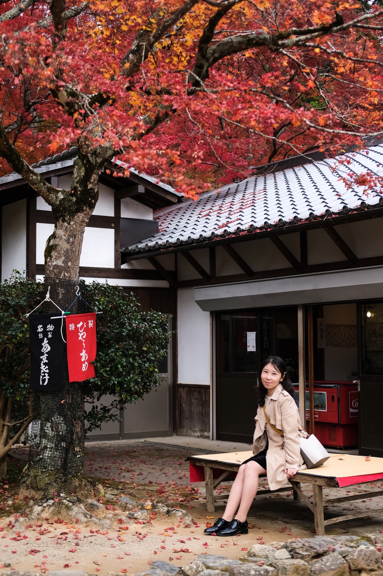 京都自助遊攻略