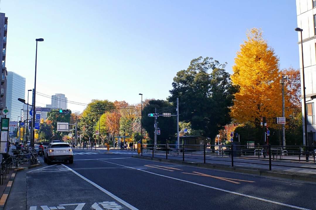 東京自助遊攻略