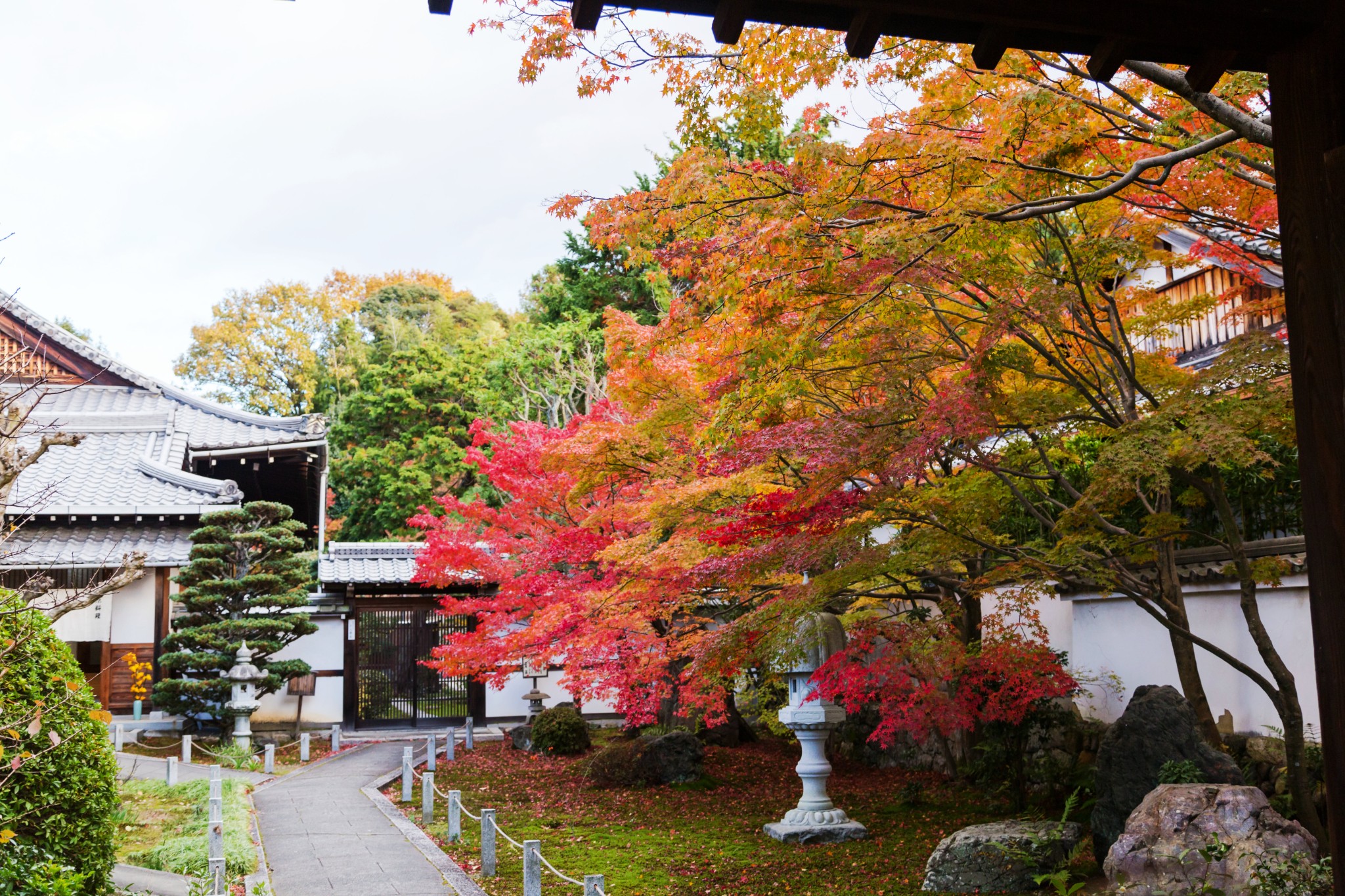 京都自助遊攻略