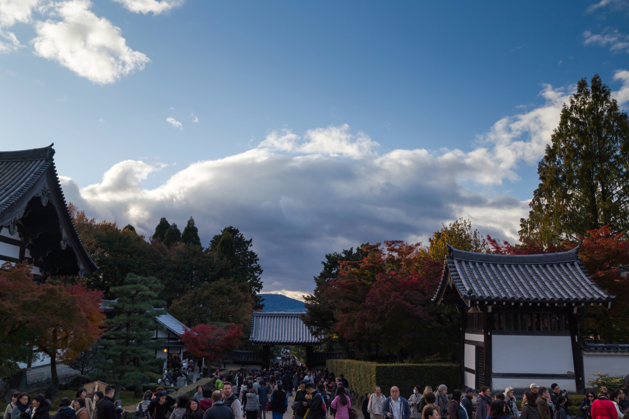 京都自助遊攻略