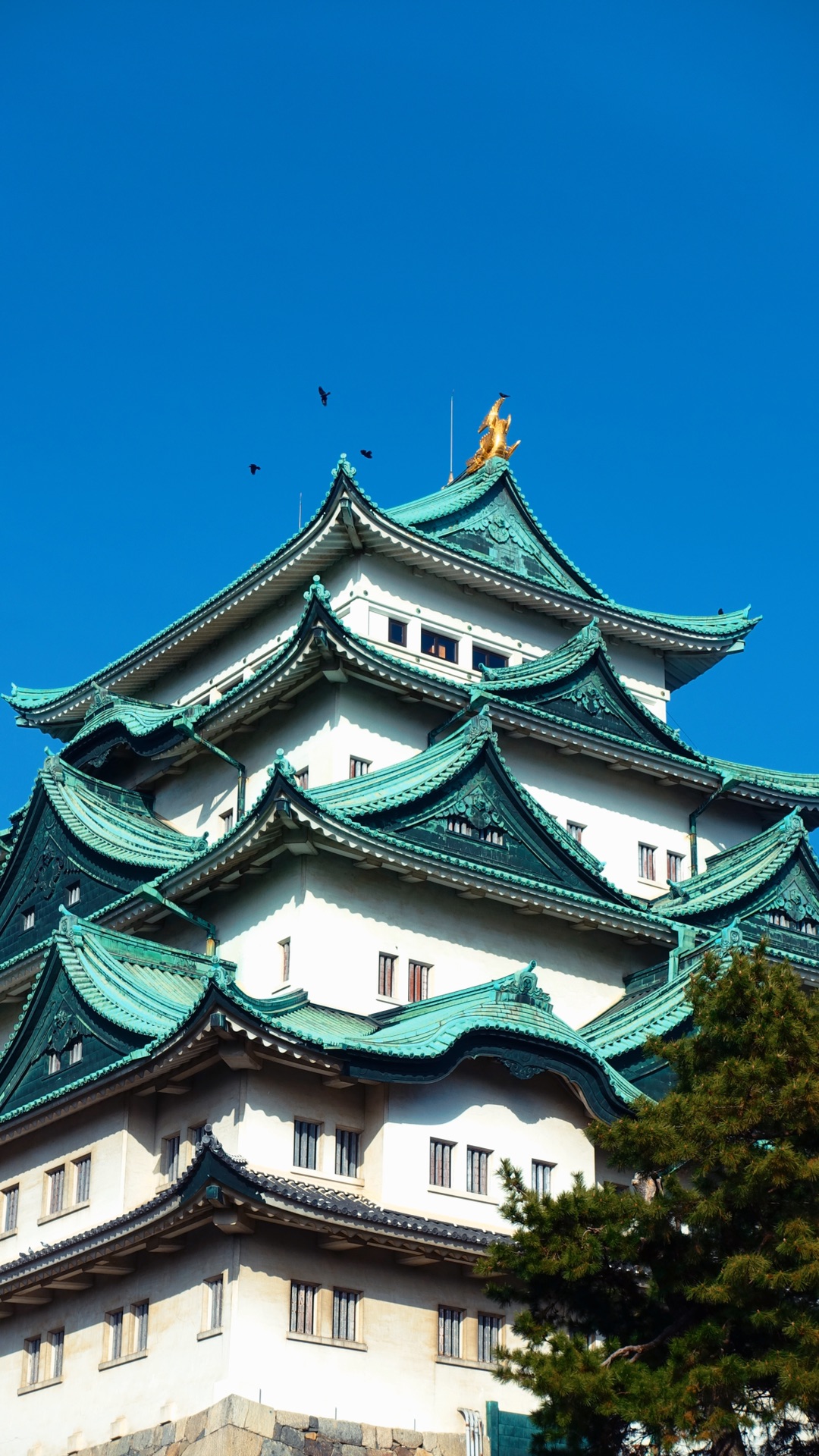 2020首游名古屋