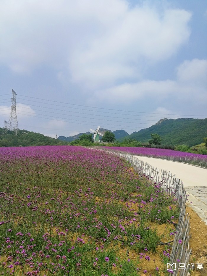 在大连金州紫云花汐薰衣草花园玩多久合适?