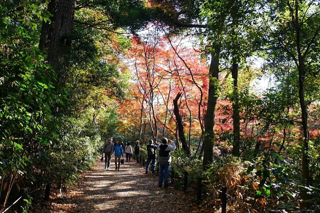 東京自助遊攻略