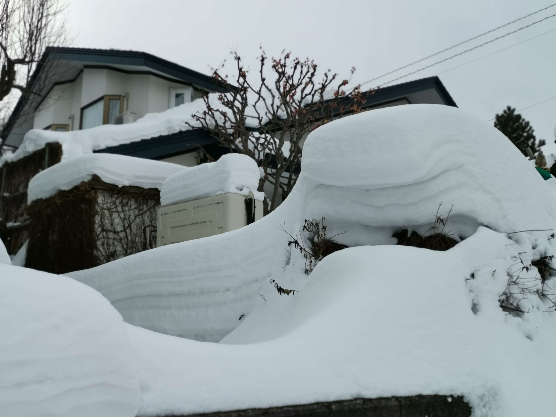 北海道自助遊攻略