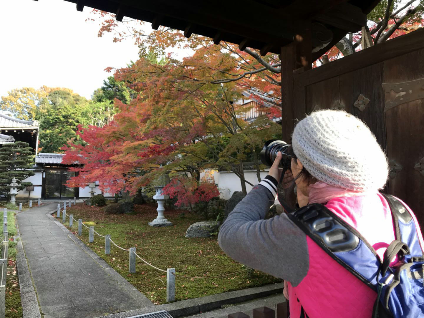 京都自助遊攻略