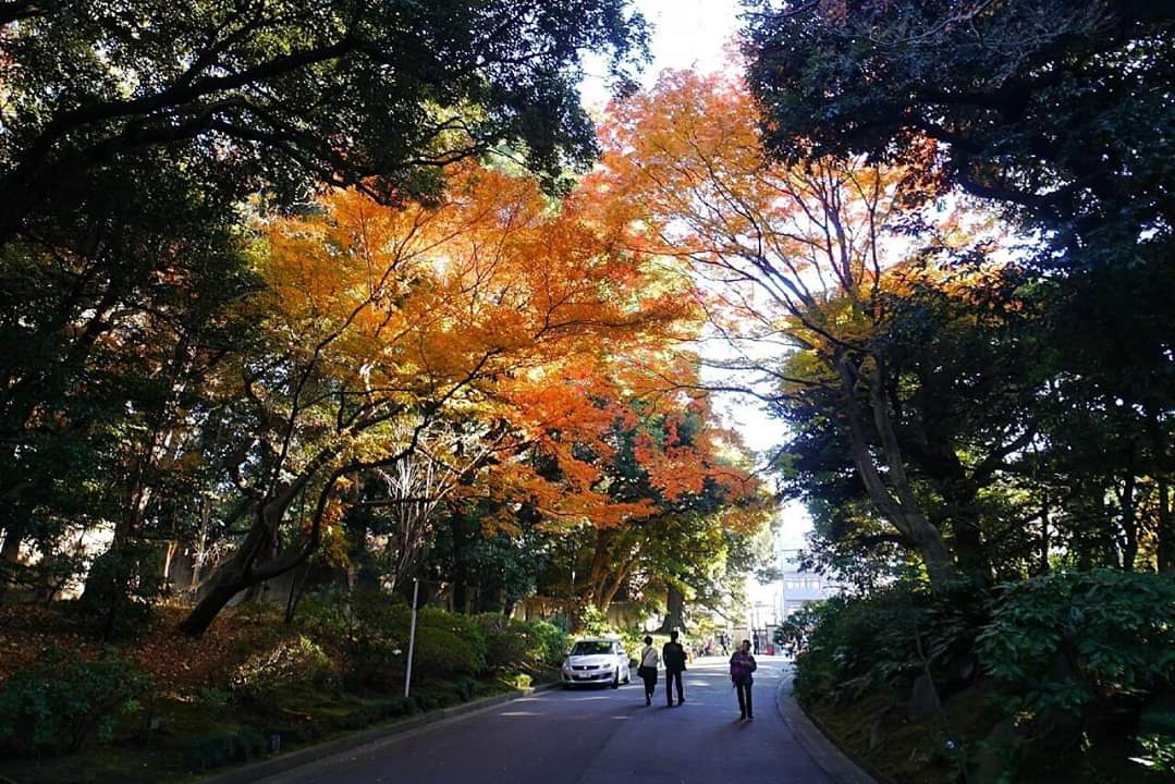 東京自助遊攻略